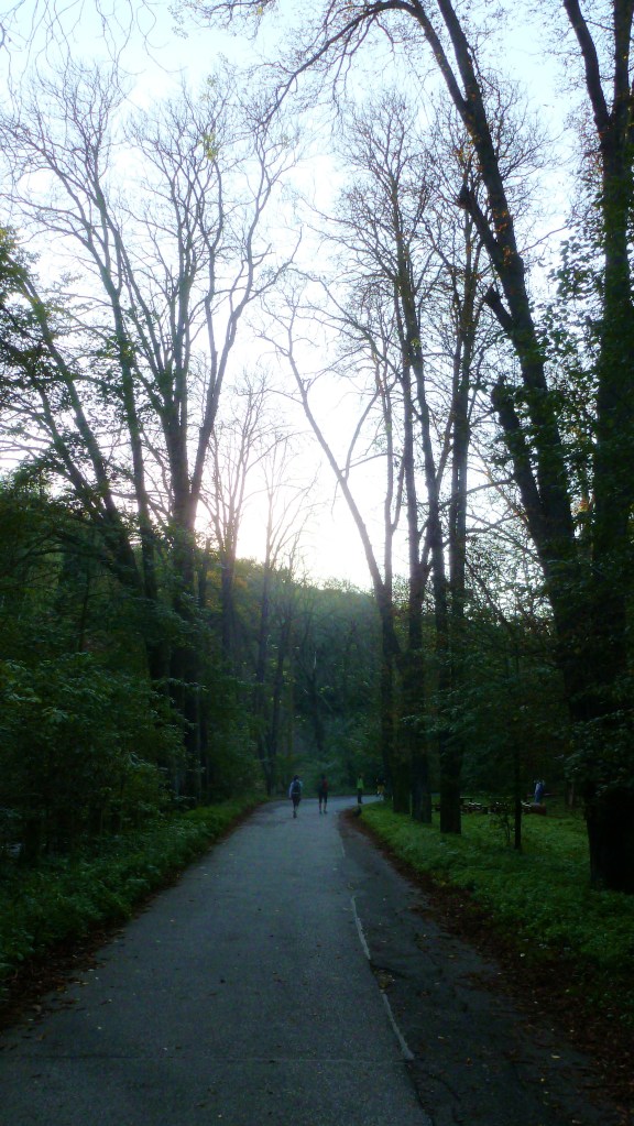 Bighted Horse Chestnut trees.