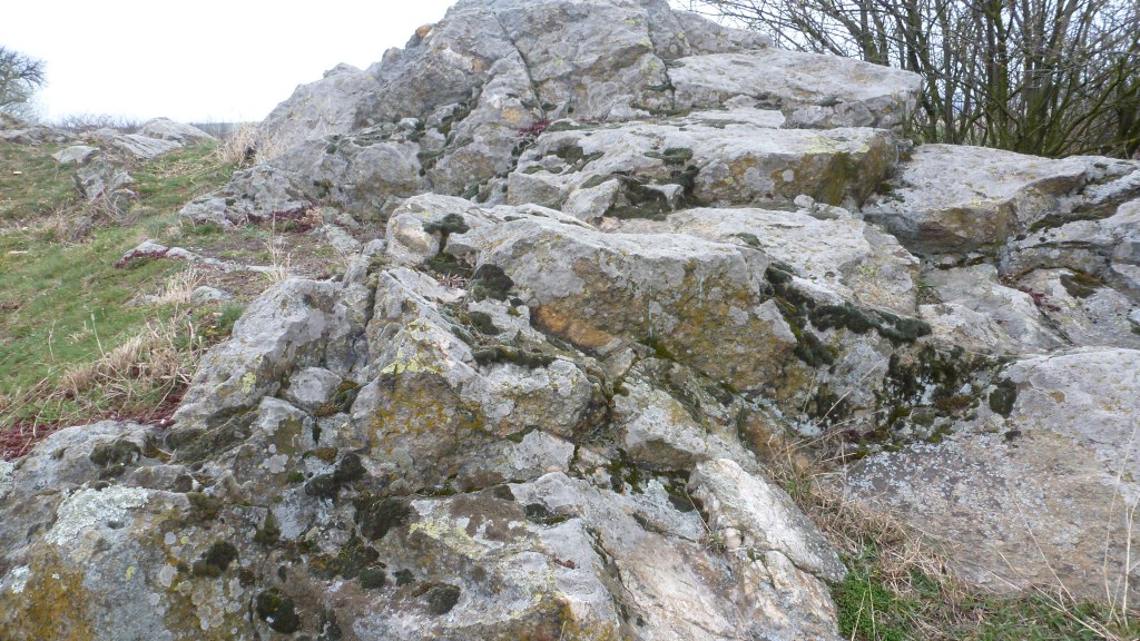 It's not just rock, it's the shore of an ancient sea!