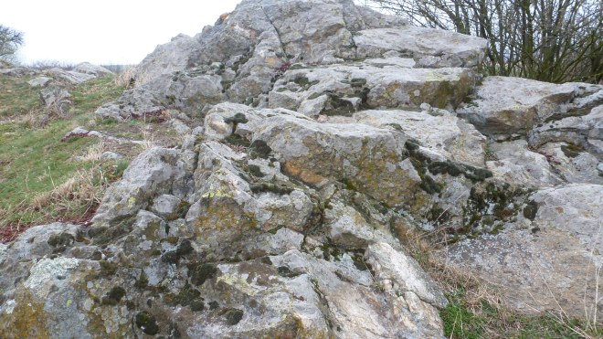 It's not just rock, it's the shore of an ancient sea!