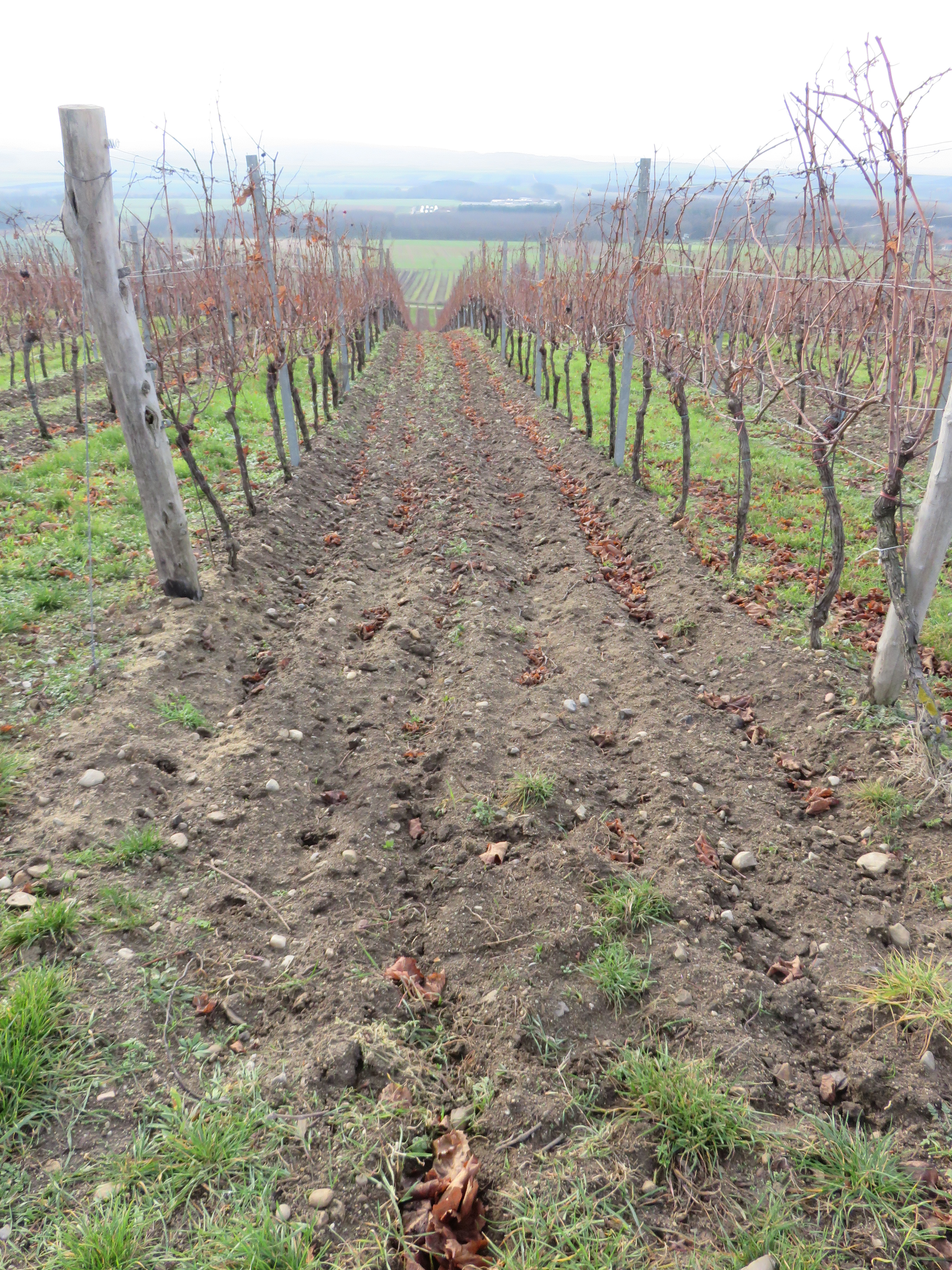 Pre and up to Mikulov 122