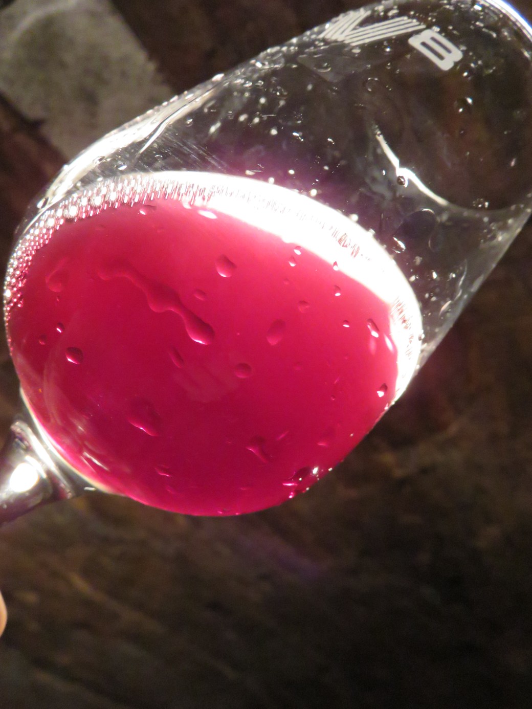 Pre and up to Mikulov 094