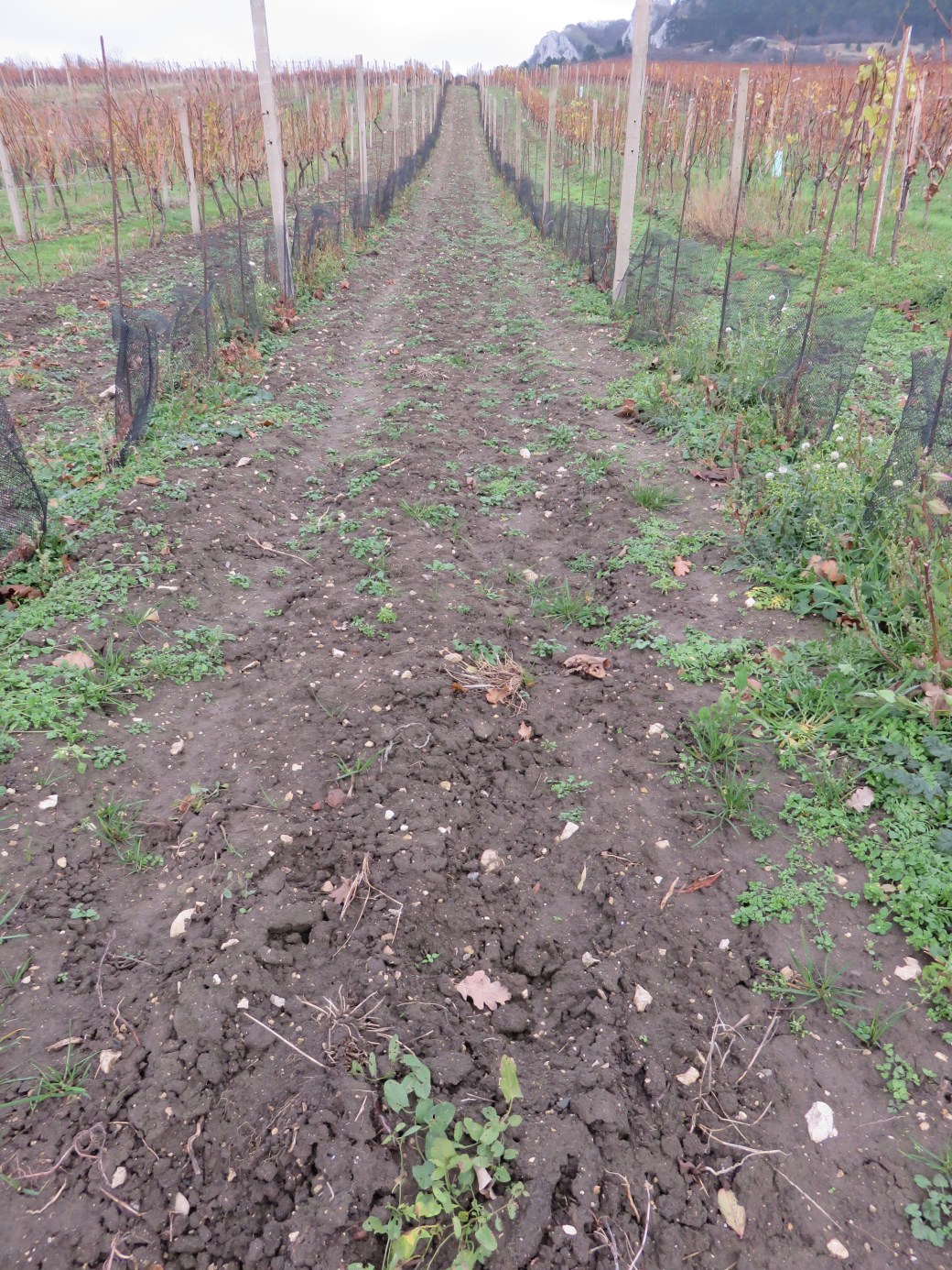 Pre and up to Mikulov 129