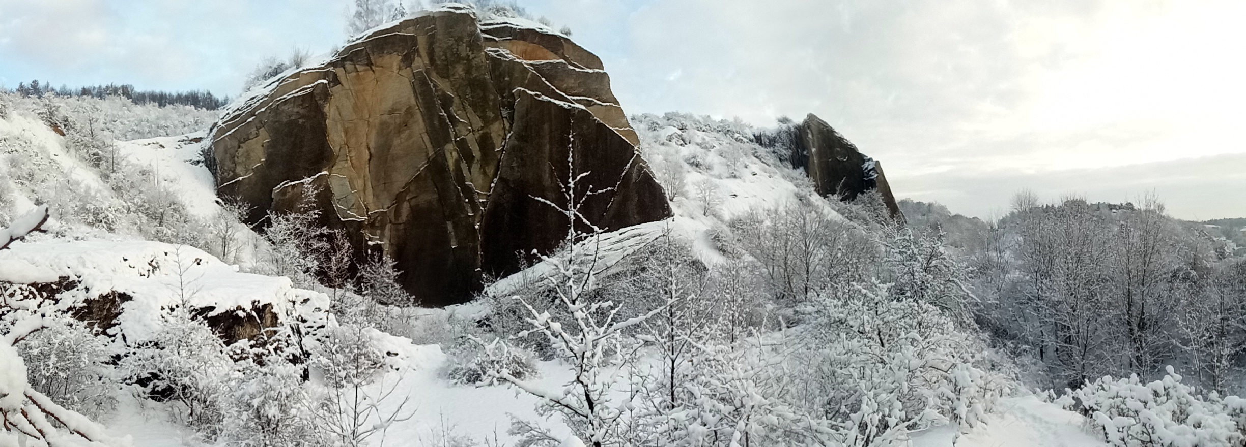 IMG_20190204_082540_1